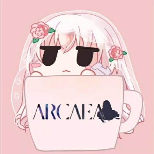 看到这行字证明出bug了